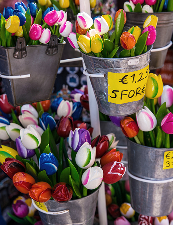 Farbenfrohe Tulpen auf einem Amsterdamer Markt – typisches Stadtmotiv zwischen Grachten und Blumen.