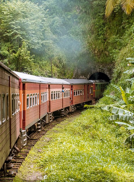Zug Rundreise durch tropische Landschaft, unvergessliche Ferien planen und Reise mit Kuoni und railtour online buchen.