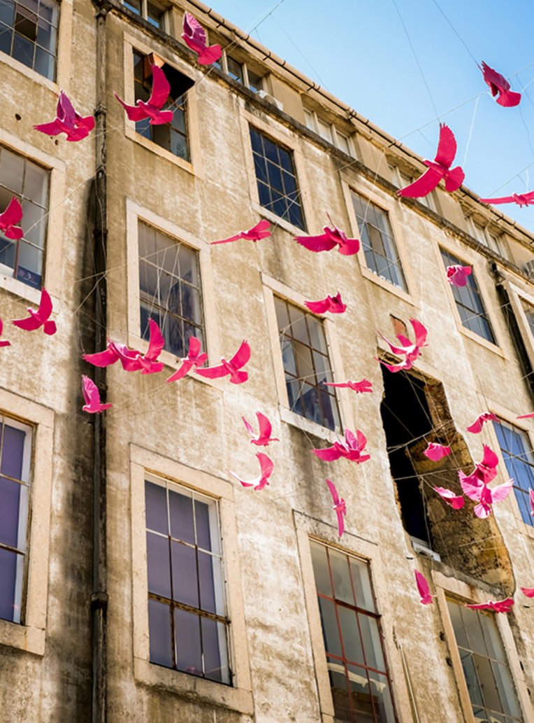  Un bâtiment à Lisbonne avec des oiseaux roses volant dans le ciel.