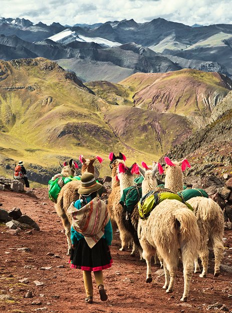 Anden‑Trekking mit Lamas auf Bergpfad – private Rundreisen in Südamerika.