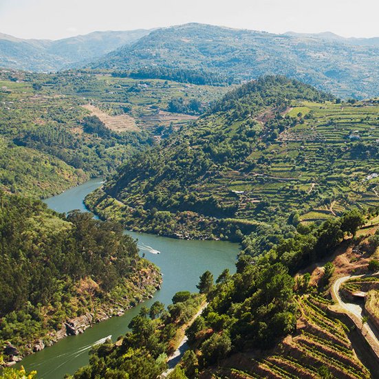 Douro‑Fluss in Portugal umgeben von Weinbergen und Bergen – idyllische Landschaft für Flusskreuzfahrten.