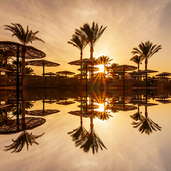 Sonnenuntergang mit Palmen und Wasser in Ägypten, Badeferien und Kreuzfahrt buchen.