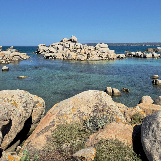 Une vaste étendue d'eau avec des rochers et des plantes sur les rives.