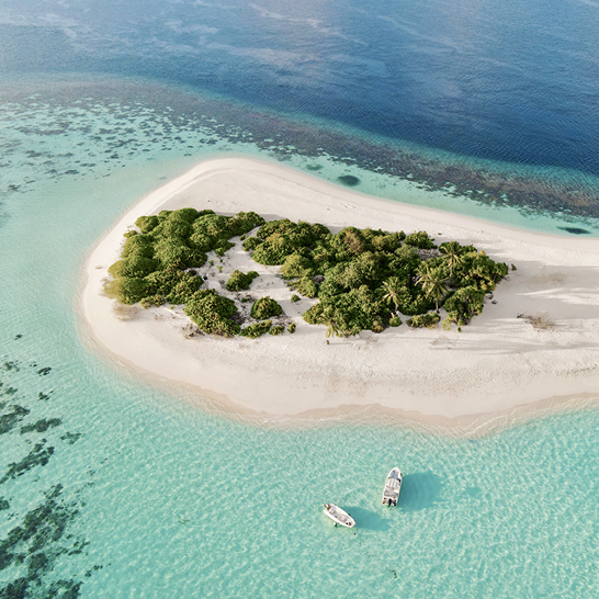 Malediven Insel mit Palmen und türkisblauem Wasser, traumhafte Badeferien buchen.