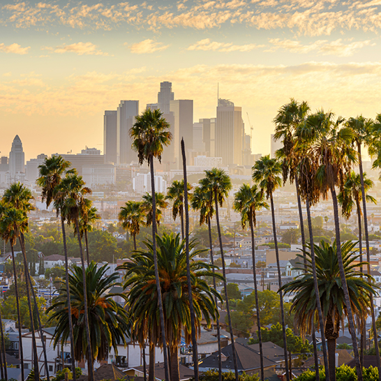 Vue panoramique de la skyline de Californie depuis une colline, avec des bâtiments modernes et un ciel dégagé.