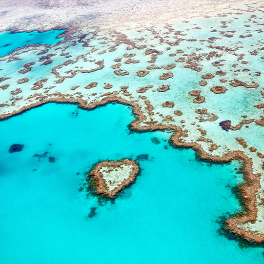 Herz im Great Barrier Reef