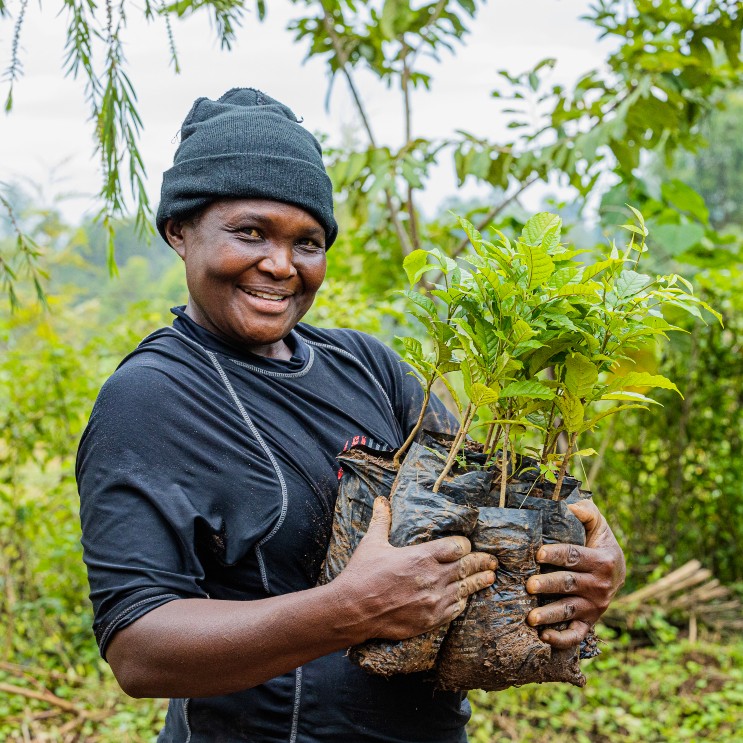 myclimate Projekt Kenya Person hält Baumsetzlinge in den Armen